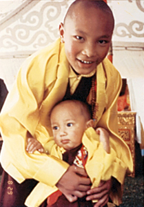 17th karmapa 11th pawo rinpoche 1